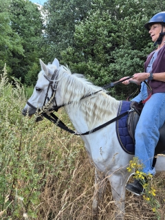 res_o-42312-randonnees-equestres_de_megaides_20260727-111538_17854079825262.jpg