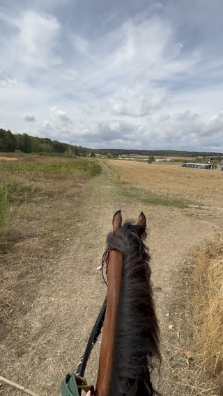 res_o-42326-randonnees-equestres_de_khebir-takoua_17881317125543.jpeg