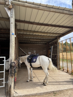 res_o-42326-randonnees-equestres_de_khebir-takoua_17881317319654.jpeg