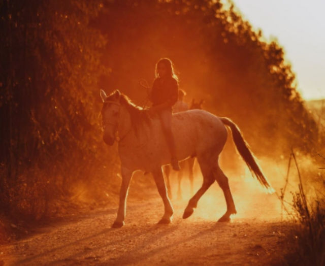  Paseos a caballo por lugares excepcionales 