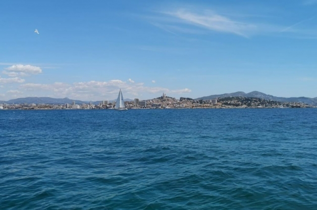  Disfrute de un entorno excepcional durante su paseo en barco 