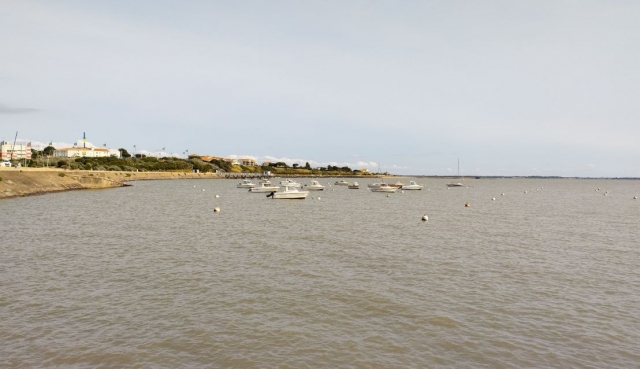  Disponemos de una amplia selección de barcos para su excursión 