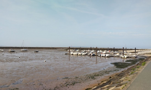  Aquí está nuestro puerto para salidas en barco 