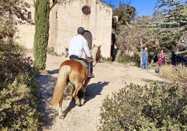  Giro a cavallo supervisionato da un istruttore professionista 