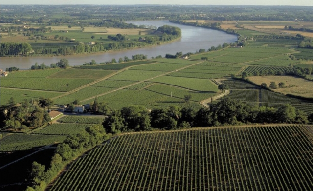 Probieren Sie außergewöhnliche Weine an den Ufern der Dordogne 