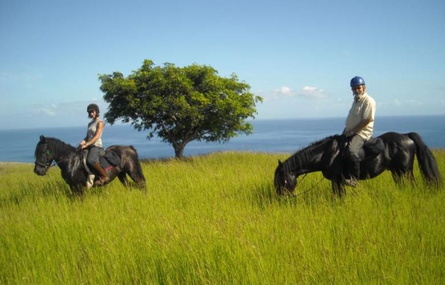  Paseo de caballos en Saint-Paul 