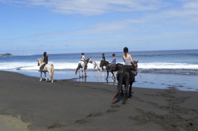 Caminata de caballos en Saint- Paul Beach 