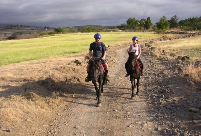  Ya sea que sea un principiante o un experto en el que nuestro paseo de caballos sea accesible para todos los 