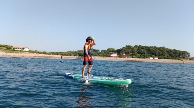  Paddle session 