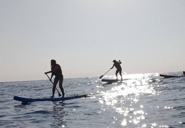  Paddle surfing session with a state-certified instructor 