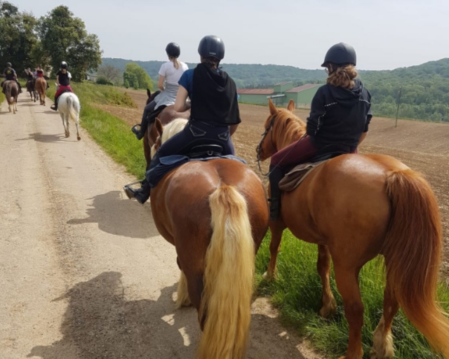 Balade à cheval accessible à tous les niveaux