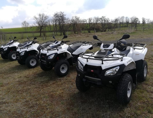 The fleet of vehicles 
