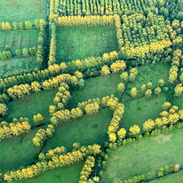  Splendida vista sulla campagna del Poitevin 