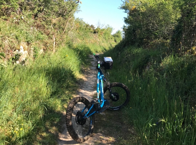 e-19863546-p-13796-trotinette-chemin1712146263-1712148994720317121611981712161312796.jpeg