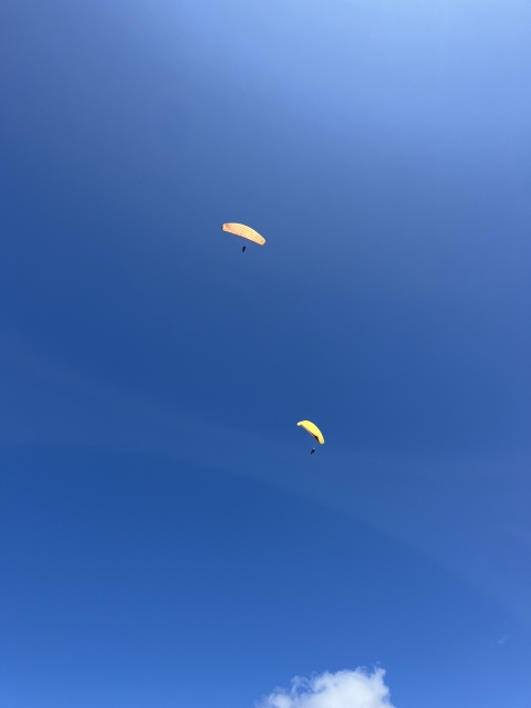 res_o-42241-parapente_de_ferjani-carla_img-2083_17564767986955.jpeg