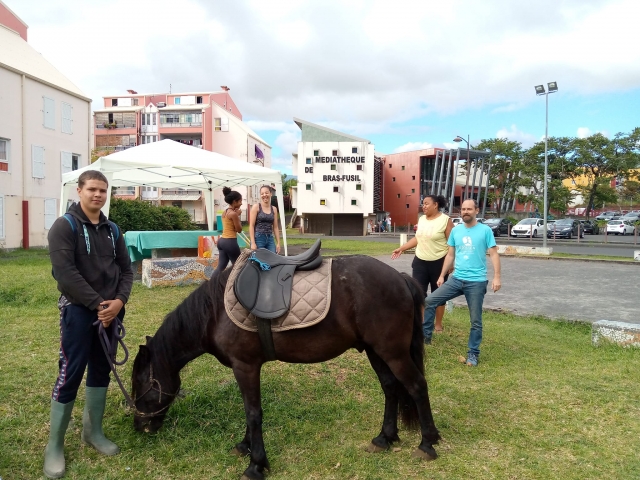  ¡Estamos seguros de que te enamorarás de nuestros caballos! 
