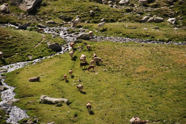 Divertitevi a scoprire la fauna e la flora della regione 
