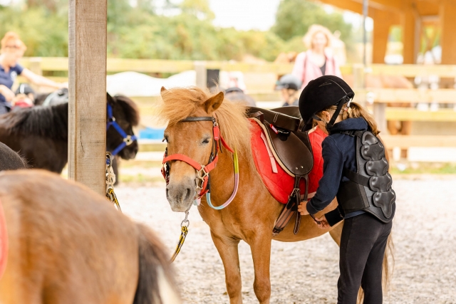  Besuchen Sie unsere Spaziergänge für Kinder im Finistère! 