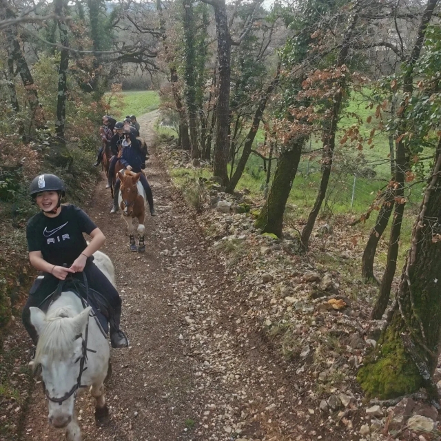 Salga a caminar en el campo VAR 