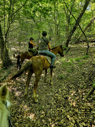res_o-42346-randonnees-equestres_de_rossi-jonathan_17925752599171.jpg