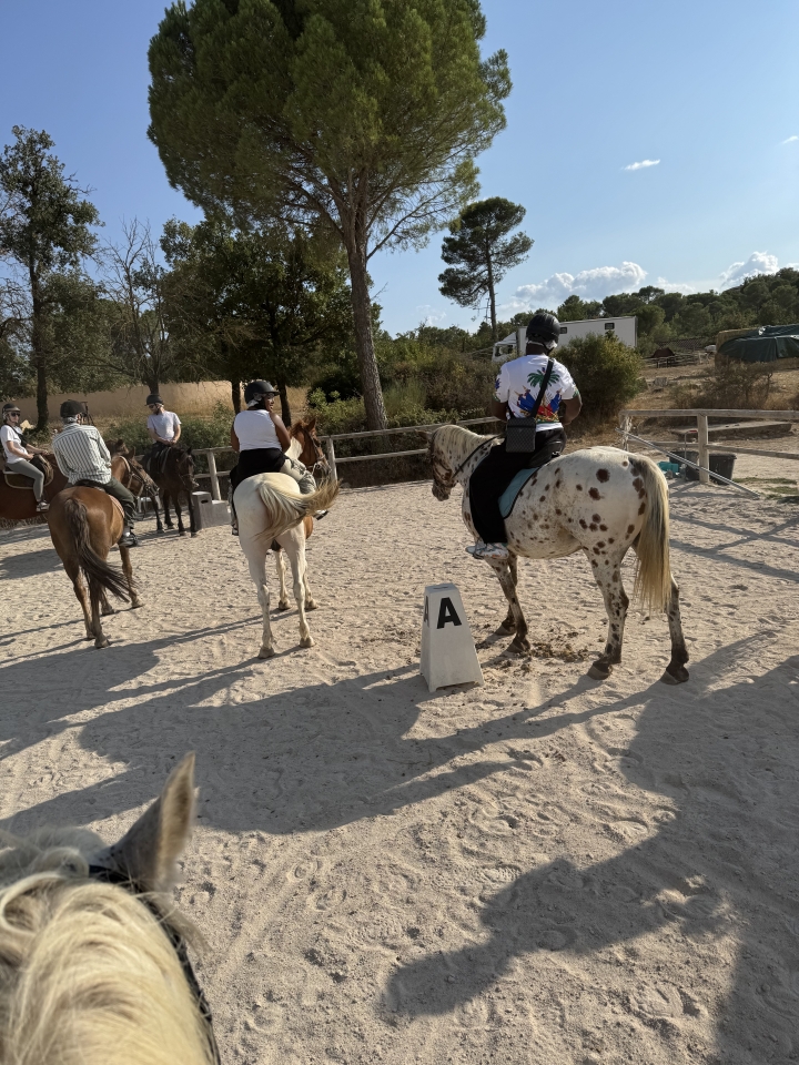 res_o-42232-randonnees-equestres_de_nunes-sabino-liliana_img-0419_17558579837490.jpeg res_o-42232-randonnees-equestres_de_nunes-sabino-liliana_img-0419_17558579837490.jpeg
