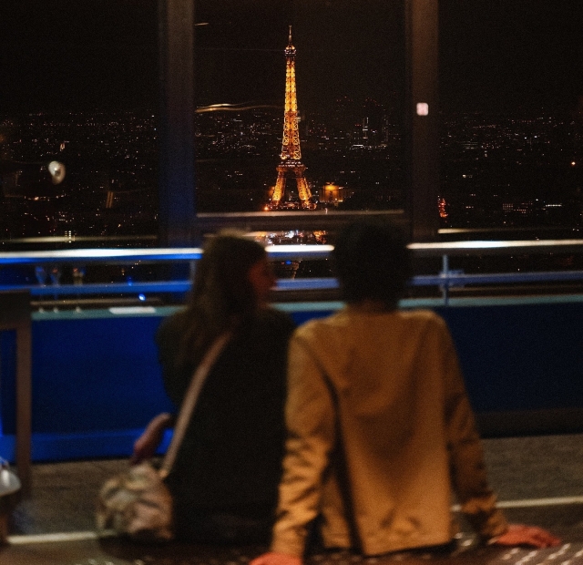  Goditi la splendida vista dalla Torre Montparnasse 