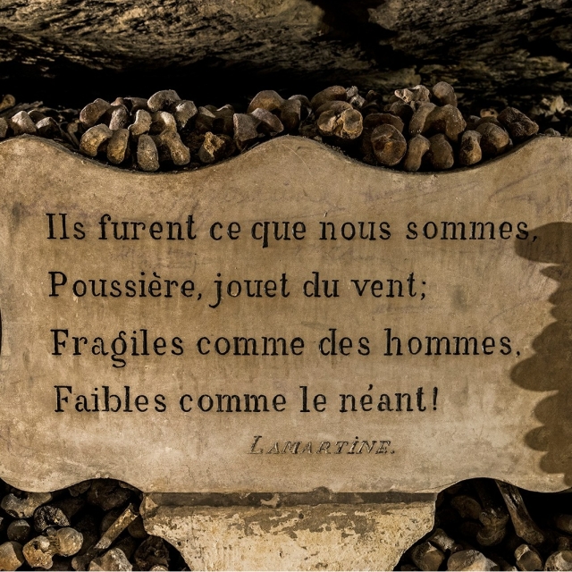 Découvrez des citations dans le sous sol
