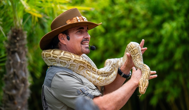Admira especies intrigantes 