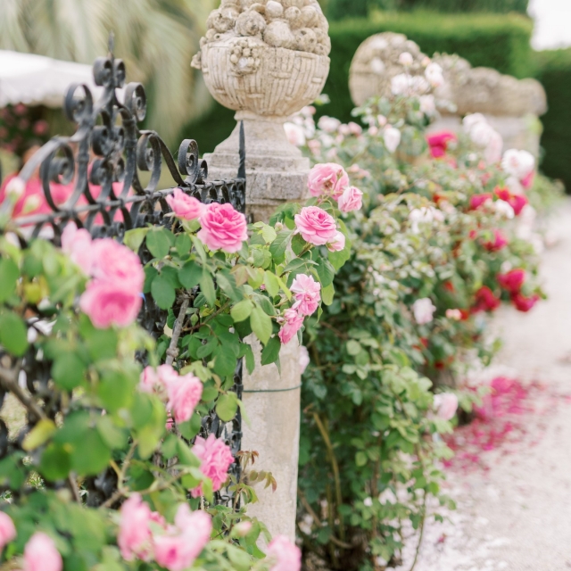  El jardín está adornado con rosas 
