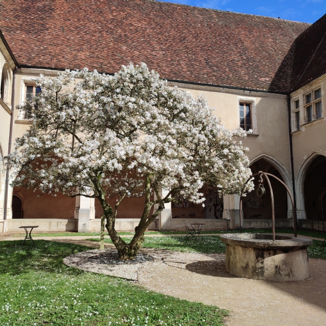  Goditi la tranquillità del monastero 