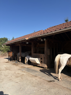 res_o-42348-randonnees-equestres_de_anne-sophie-pruvot_1792577861294.jpeg