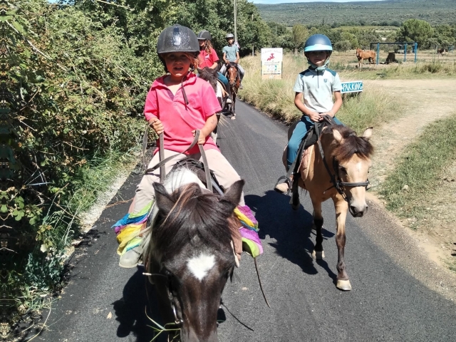  Ride en la región de Provence 
