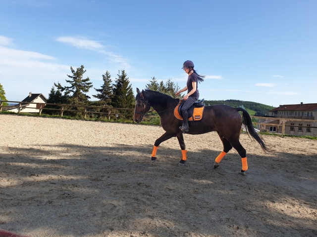  Experiências equestres em Ardèche 