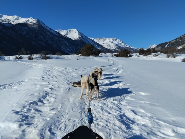 Mushing à la Vallée de la Clarée