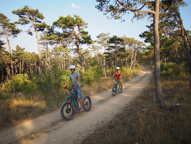 Parcourez les chemins en pleine nature