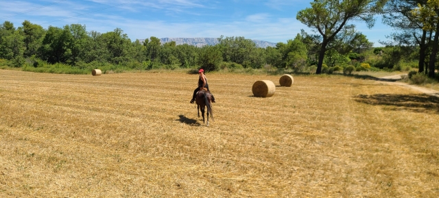 Take advantage of an exceptional setting near Marseille 