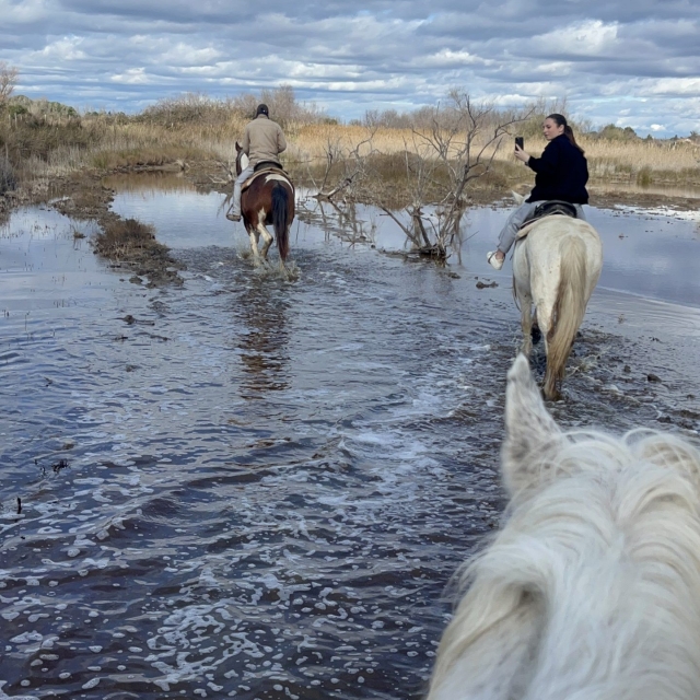 La Cavale Camargue