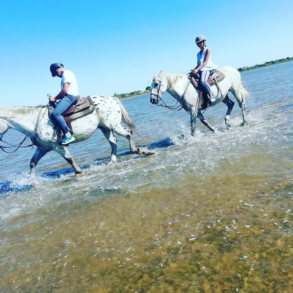 Randonnées équestres en Camargue Randonnées équestres en Camargue