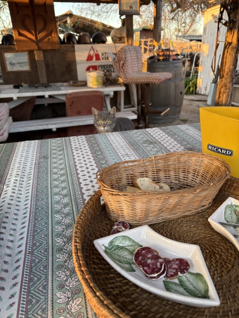 Avis de Virgadaula concernant Balade à cheval Crépuscule + apéritif -Camargue-1h