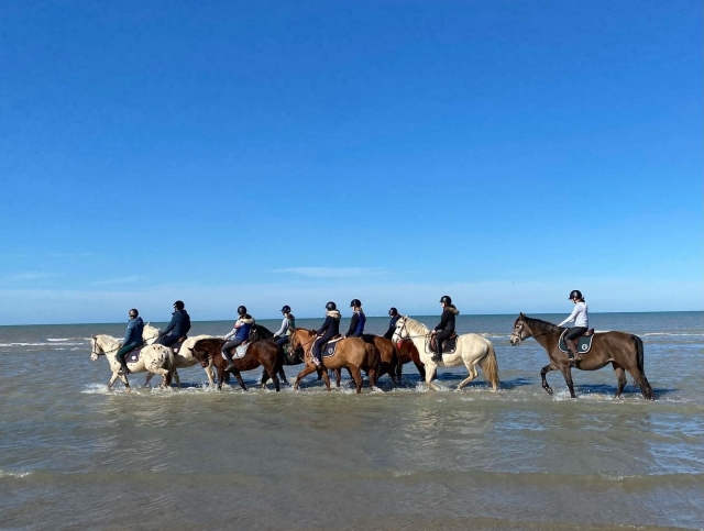 A magical moment of relaxation on horseback