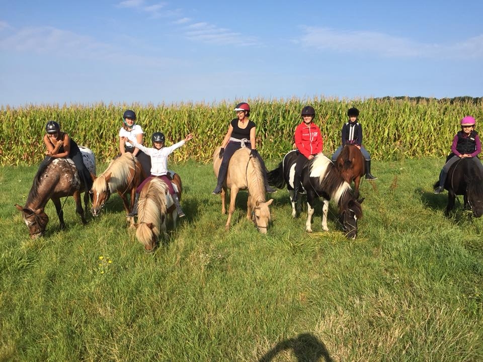 Our team welcomes you for a beautiful moment in the nature of Calvados   Our team welcomes you for a beautiful moment in the nature of Calvados