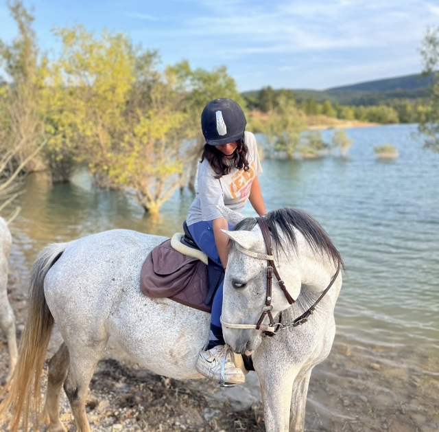  马与人之间的联系非常重要