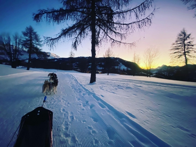  Um panorama excepcional durante uma atividade de mushing 