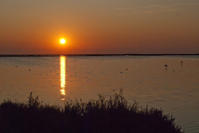  Uma vista única da lagoa Vaccarès 