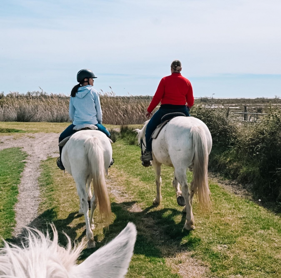  Reserve seu passeio a cavalo na Camargue 