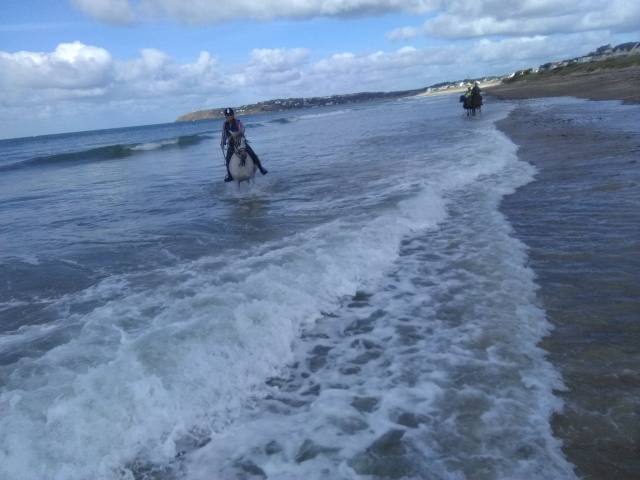  Passeggiare sulla spiaggia a cavallo 