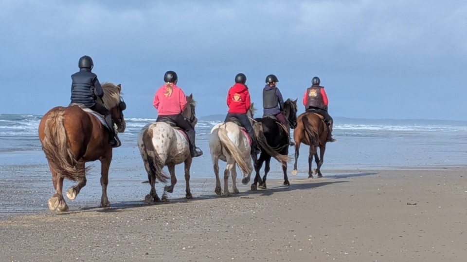  Optare per una delle nostre passeggiate 