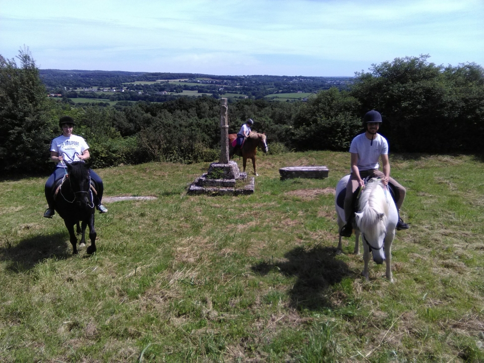  Passeggiate a cavallo con vista sull'oceano 