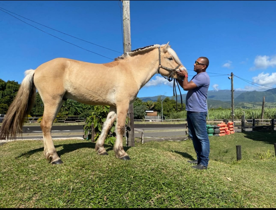 Partagez votre amour pour les animaux avec nous