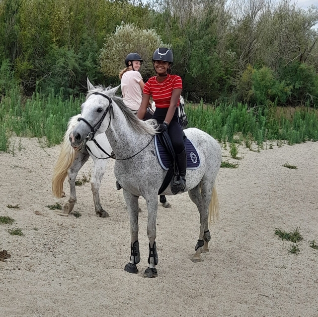 Progressi con il nostro centro ippico 